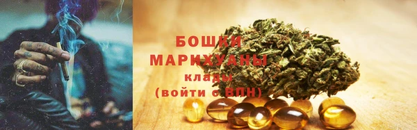 apvp Аркадак