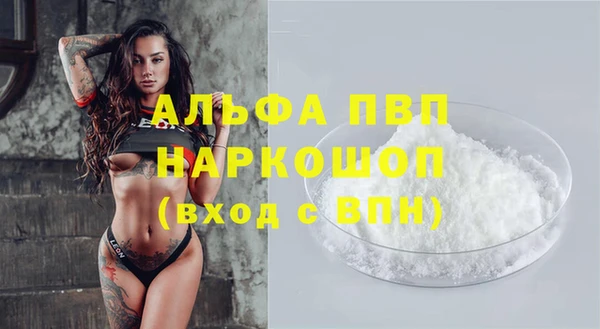 стаф Арсеньев