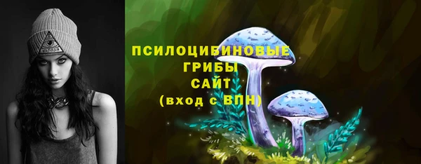 apvp Аркадак
