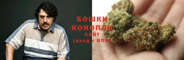 стаф Арсеньев