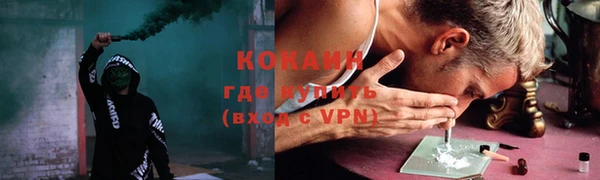 стаф Арсеньев