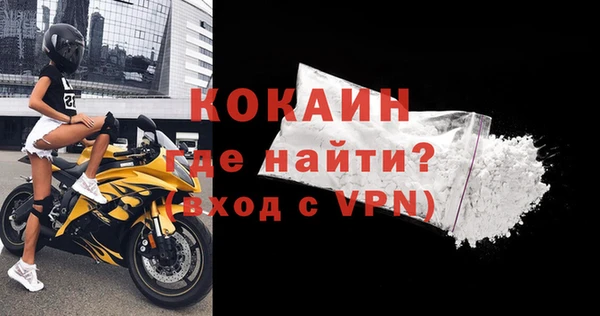 стаф Арсеньев