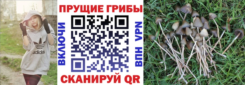 Псилоцибиновые грибы MAGIC MUSHROOMS  Лениногорск 